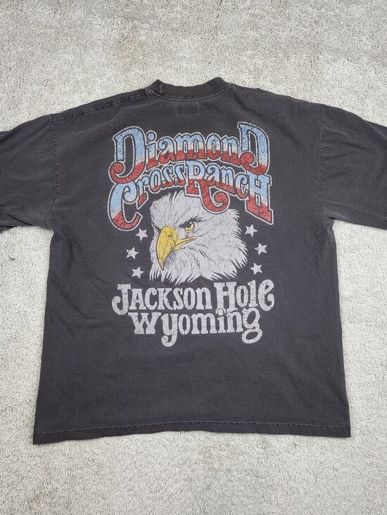 Diamond Cross Ranch Other - Diamond Cross Ranch T Shirt XL Jackson Hole Wyoming USA bald eagle Boxy Fit Grey